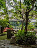 Botanical Garden